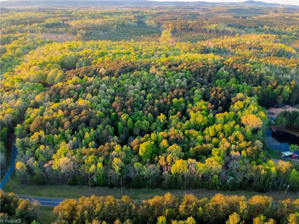 0 Lookabill Road Denton, NC 27239 - Photo 2 of 3 Property is approximately located in between driveway on the left and pond on the right. Photo color virtually enhanced.