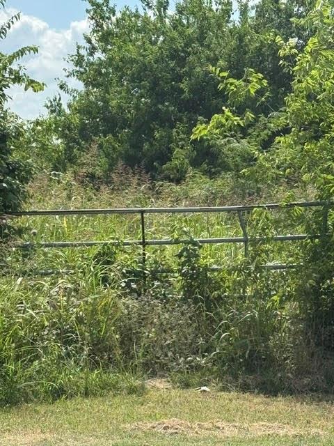 0 County Road 4219 Decatur, TX 76234 - Photo 4 of 7