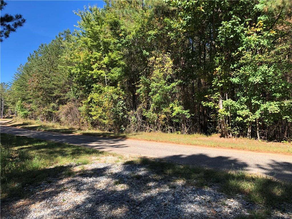 0 Sheep Wallow Road Dahlonega, GA 30533 - Photo 1 of 1 Gallery Image 1