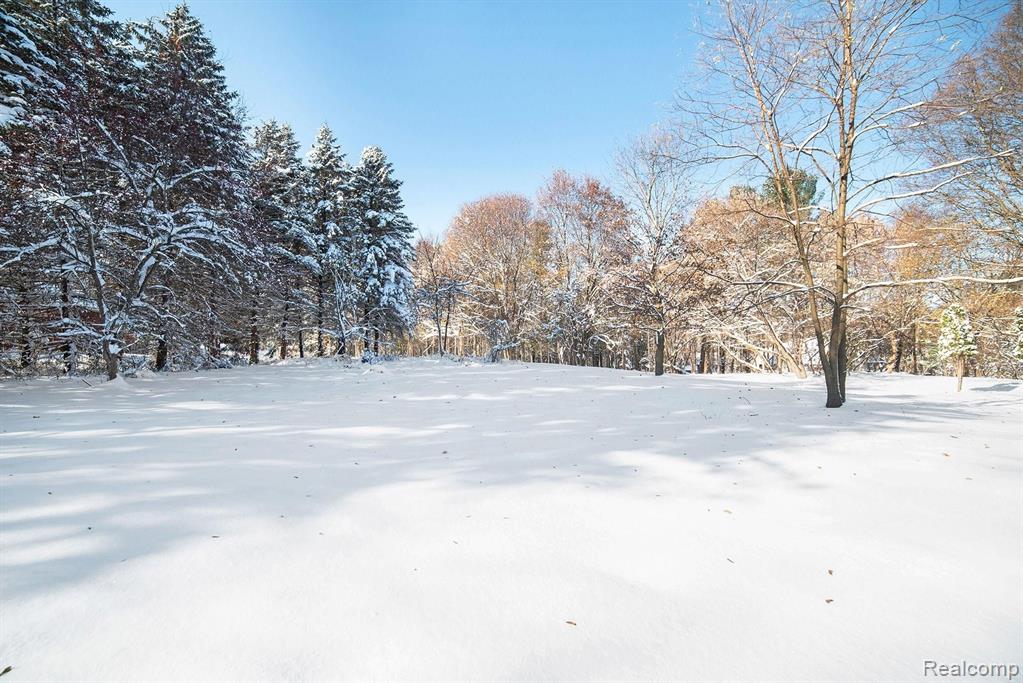 1005 Betts Road Leonard, MI 48367 - Photo 14 of 43