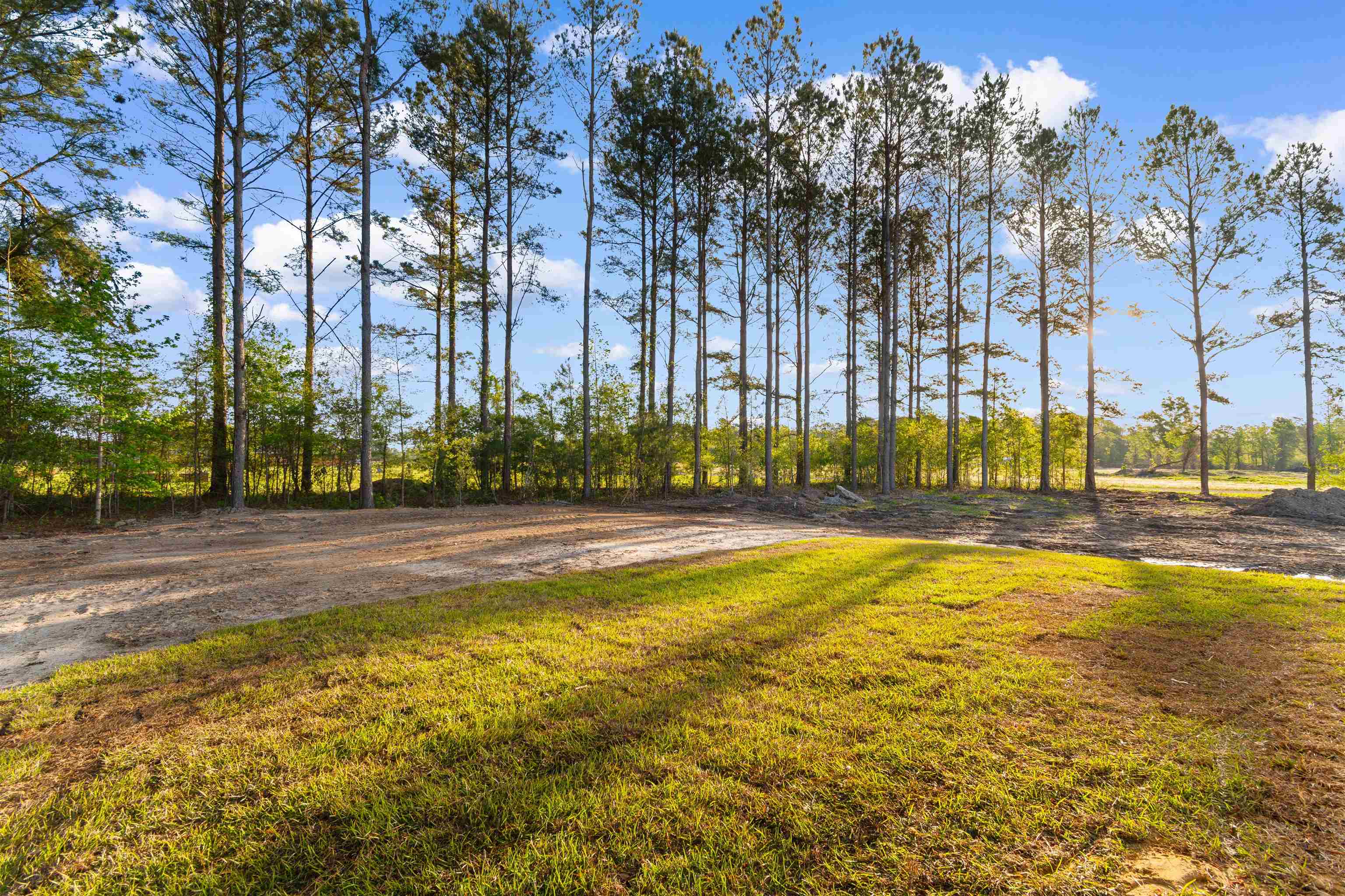 4170 Fairlane Road Loris, SC 29569 - Photo 30 of 42