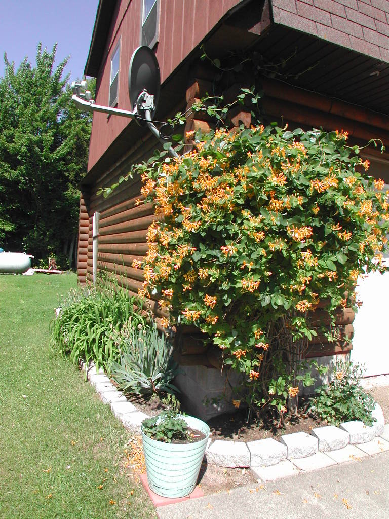 6180 South Forrest Side Road Brimley, MI 49715 - Photo 21 of 21 Gallery Image 21