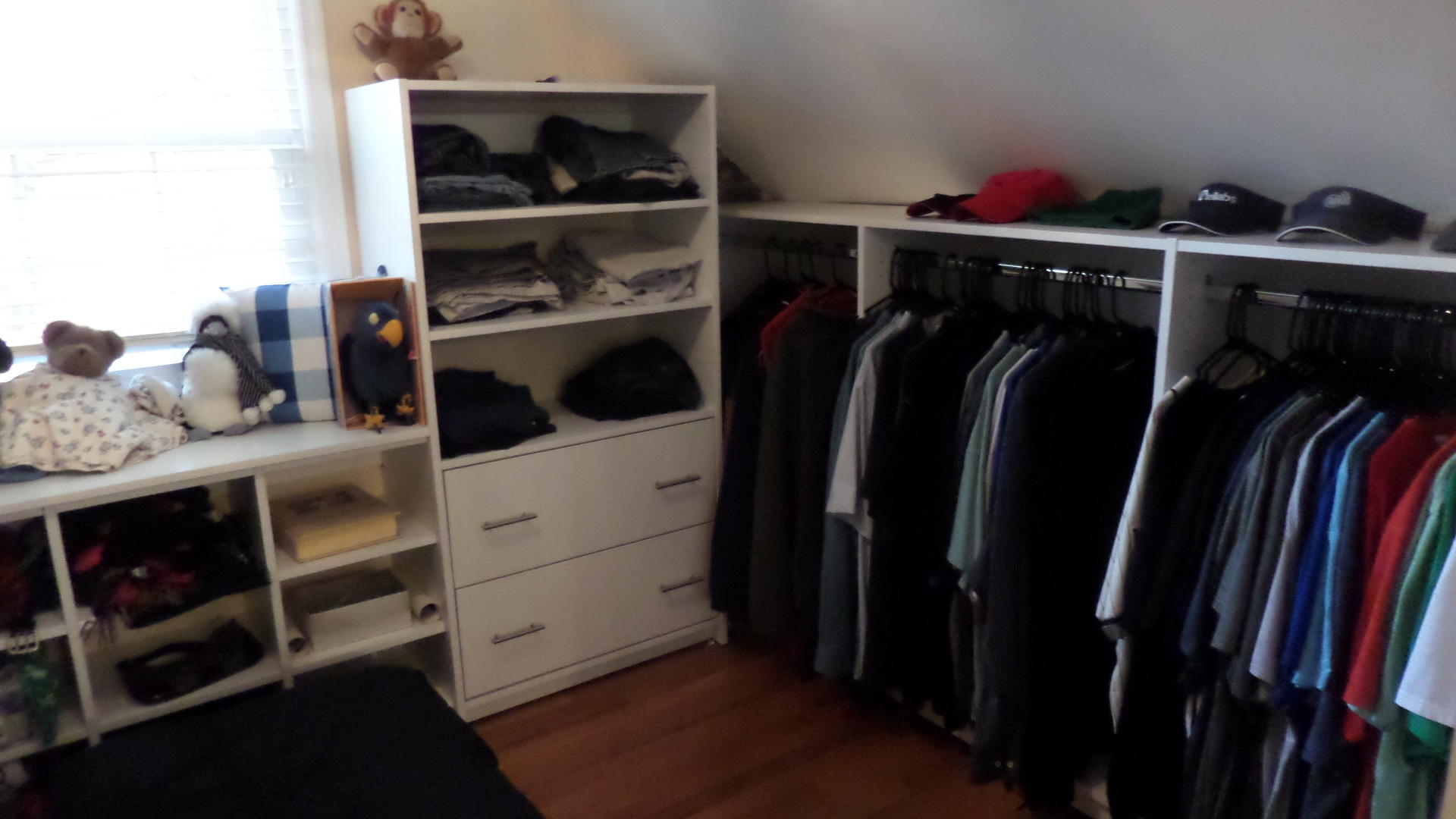 112 Wood Ridge Lane Oak Ridge, TN 37830 - Photo 18 of 37 Master Closet 2