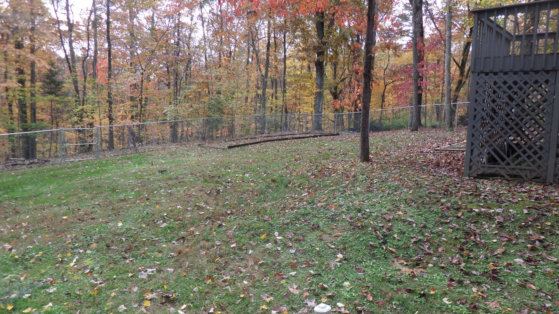 112 Wood Ridge Lane Oak Ridge, TN 37830 - Photo 36 of 37 Back Yard