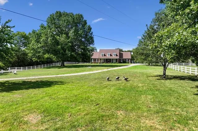 a view of a basketball court
