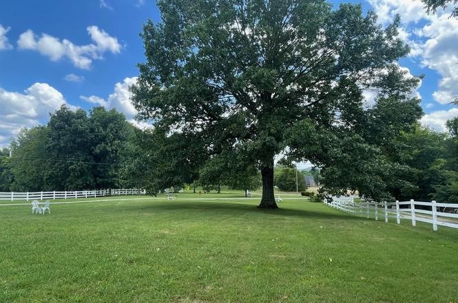 2384 Rocky Fork Road Nolensville, TN 37135 - Photo 4 of 21