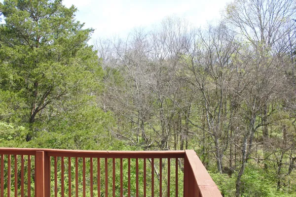 a view of a tree in a garden