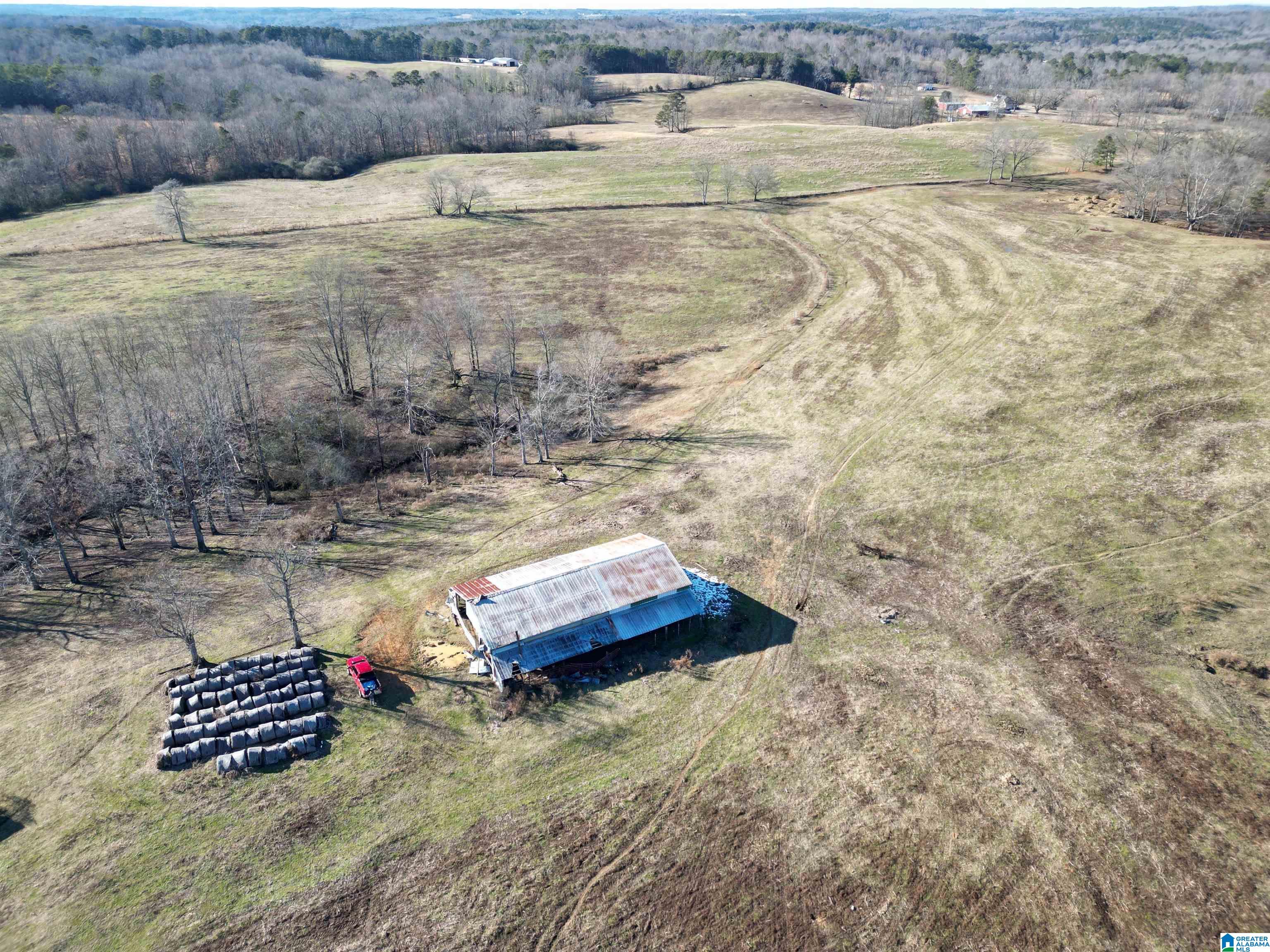 682 County Road 832 Logan, AL 35098 - Photo 1 of 48