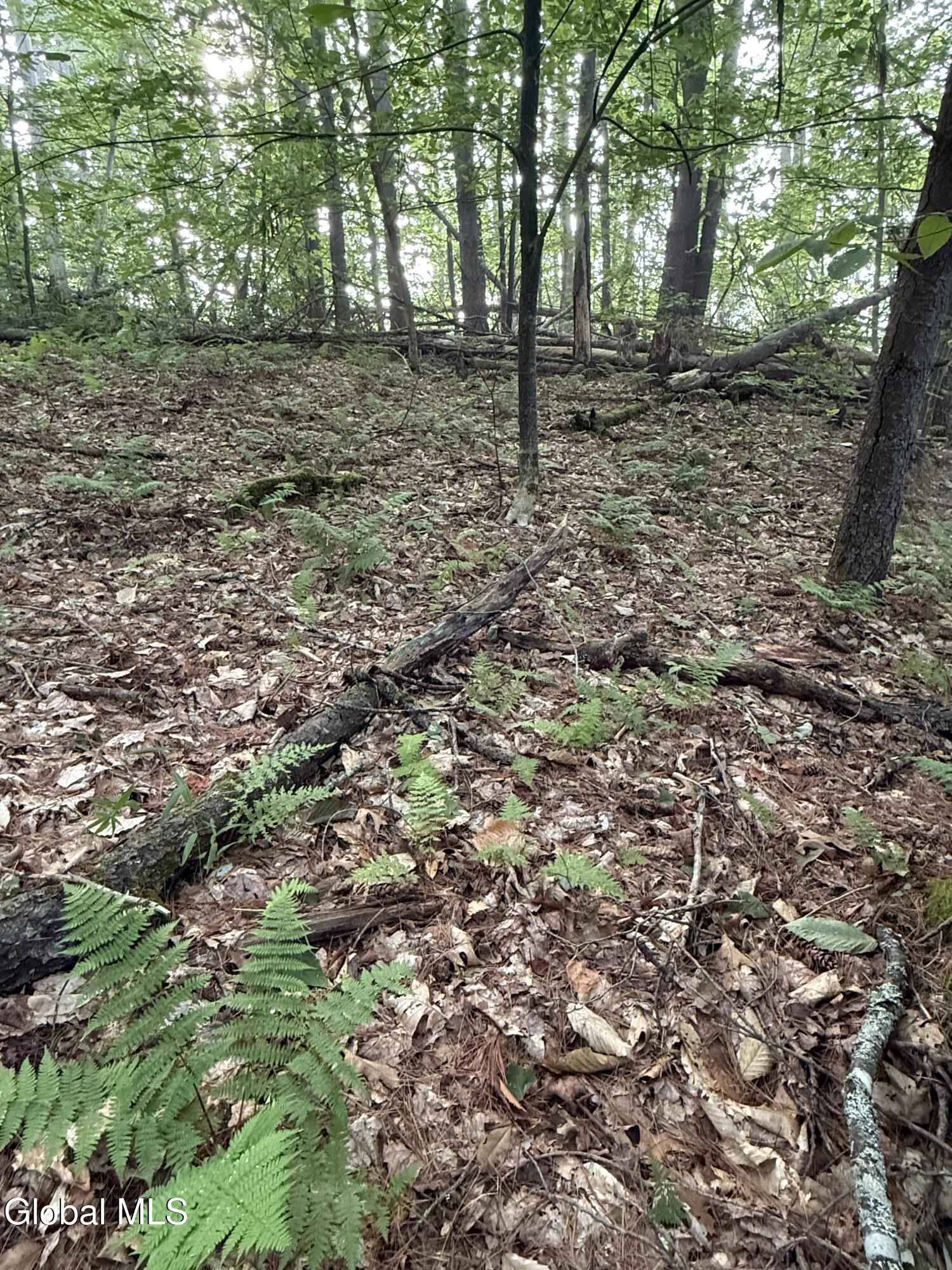 342 Dickinson Hill Road Bolton, NY 12824 - Photo 1 of 4 Lot 3 build site
