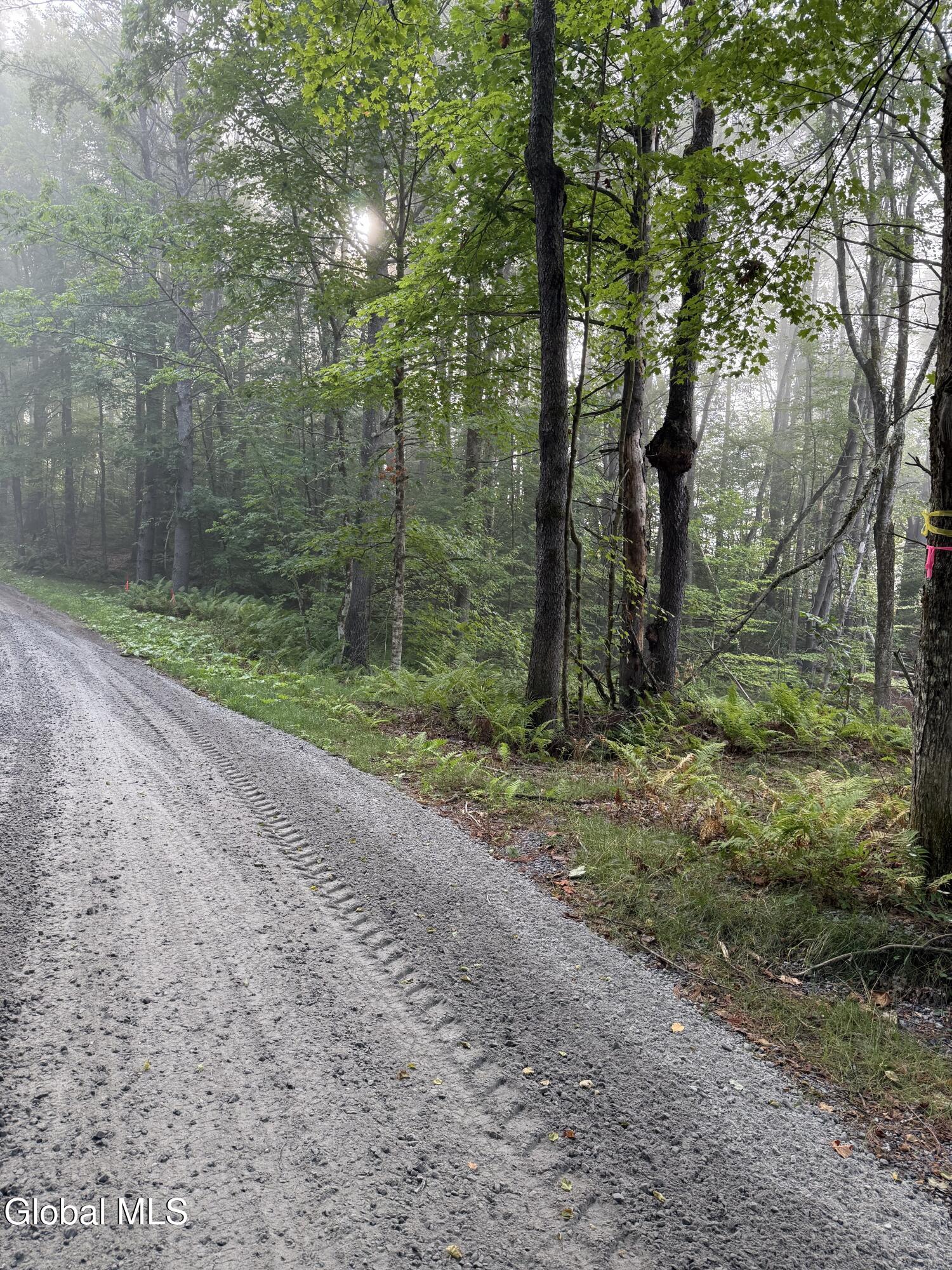 342 Dickinson Hill Road Bolton, NY 12824 - Photo 2 of 4 lot 3 road