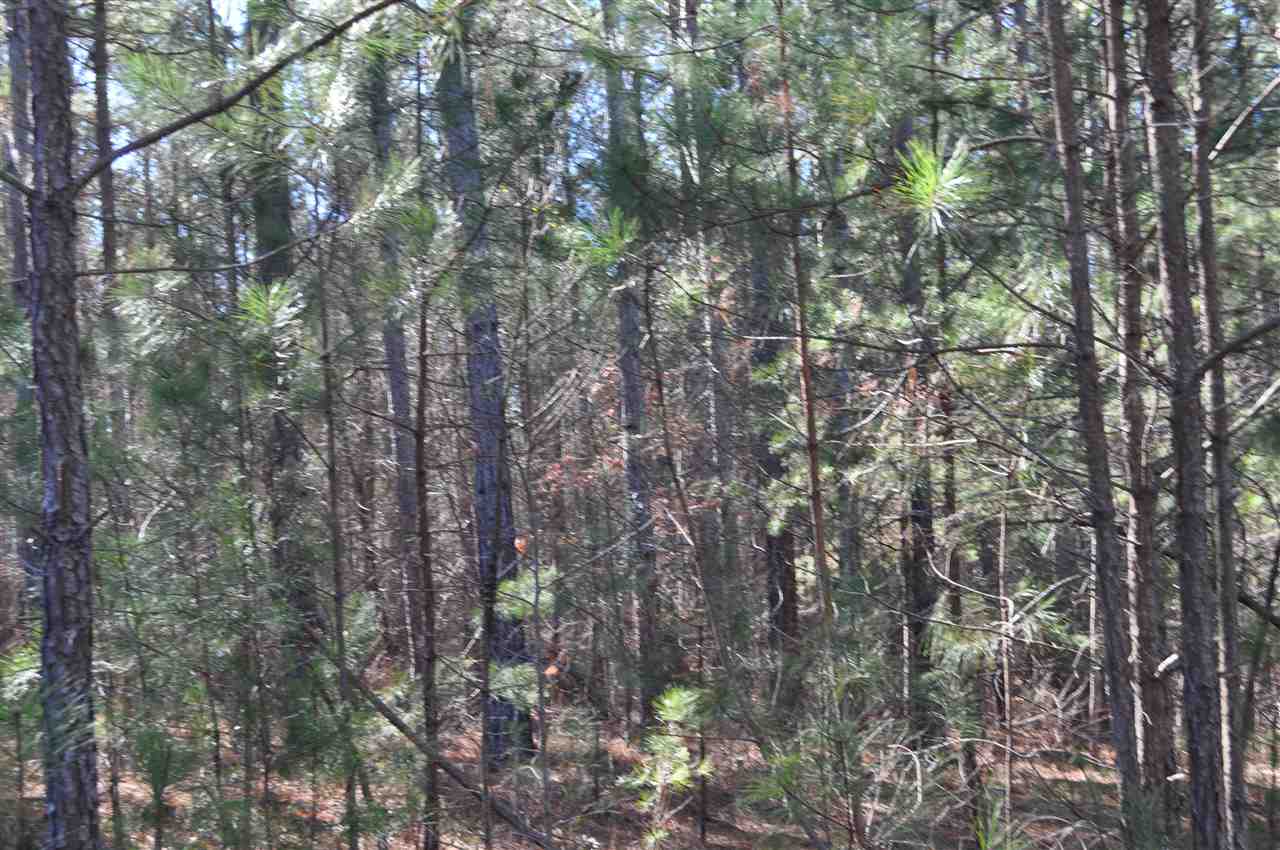 2230 Whitestone Road Spartanburg, SC 29302 - Photo 1 of 1