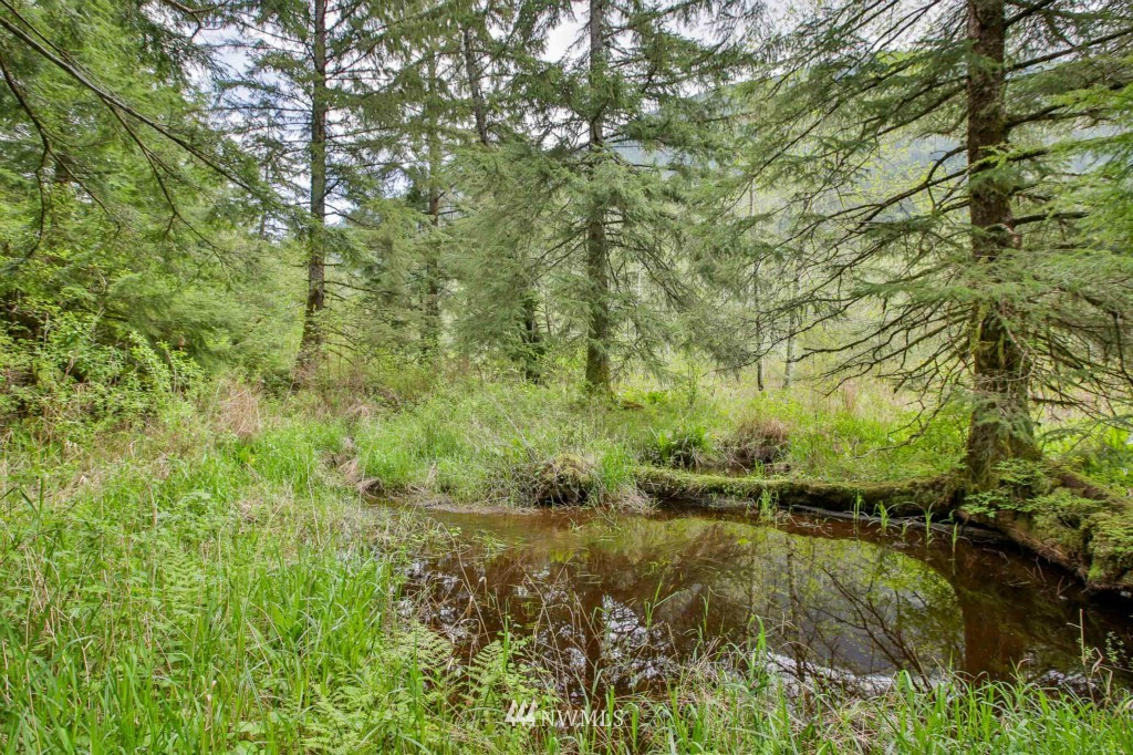 26025 Lake Riley Road Arlington, WA 98223 - Photo 15 of 16 Gallery Image 15
