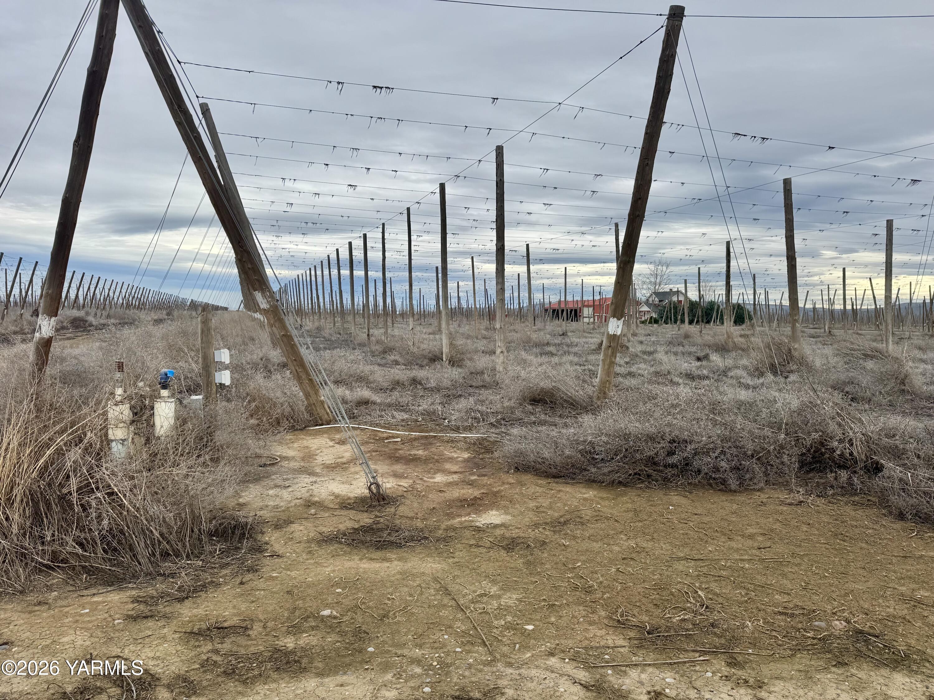 7801 Campbell Road, Unit 2 Toppenish, WA 98948 - Photo 3 of 4 IMG_1195