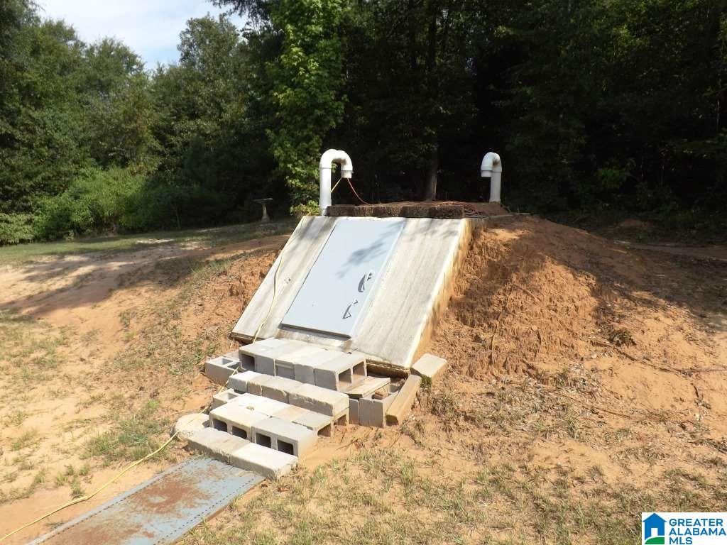 184 Cedar Springs Road West Blocton, AL 35184 - Photo 16 of 20