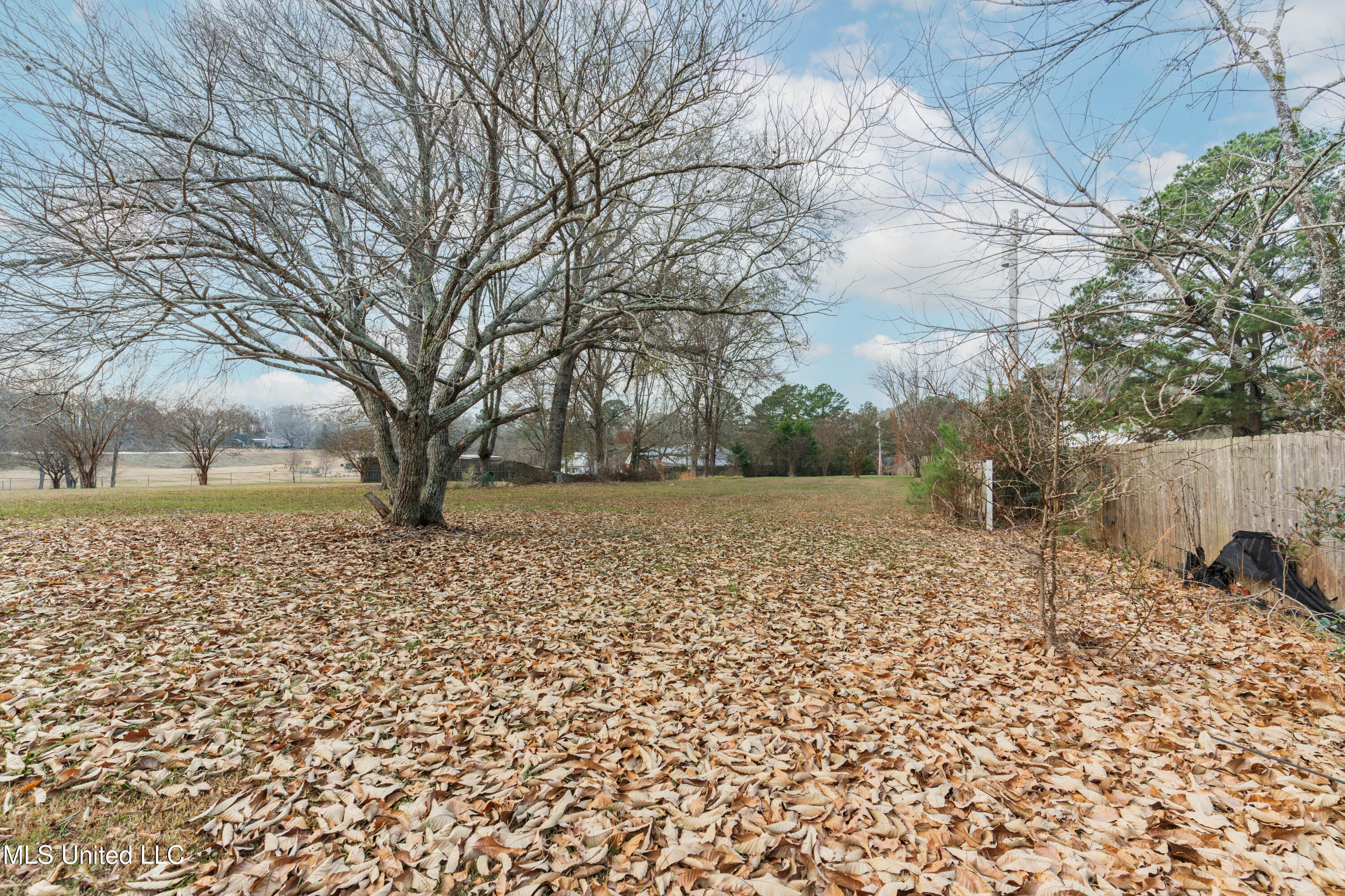 5285 Williamson Road Clinton, MS 39056 - Photo 87 of 103 87-Back