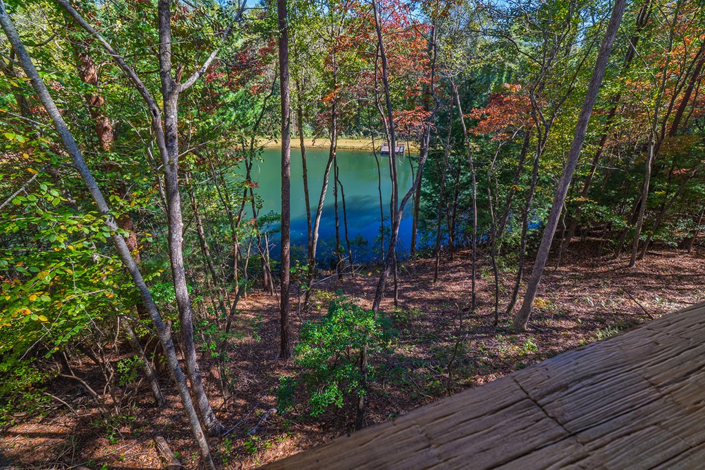 85 Moreland Trail Blue Ridge, GA 30513 - Photo 18 of 56 a view of a backyard