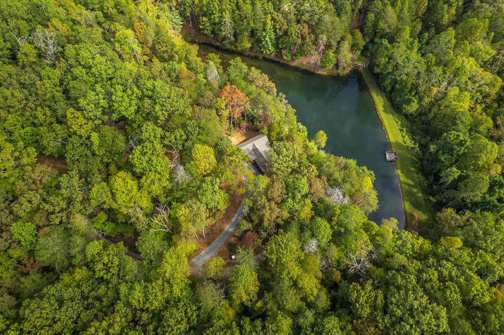 85 Moreland Trail Blue Ridge, GA 30513 - Photo 21 of 56 a view of a lake