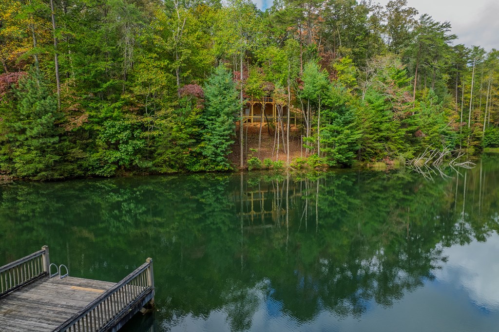85 Moreland Trail Blue Ridge, GA 30513 - Photo 24 of 56 a balcony with an outdoor space