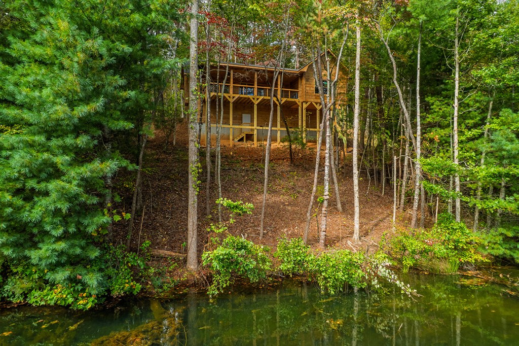 85 Moreland Trail Blue Ridge, GA 30513 - Photo 25 of 56 a garden view