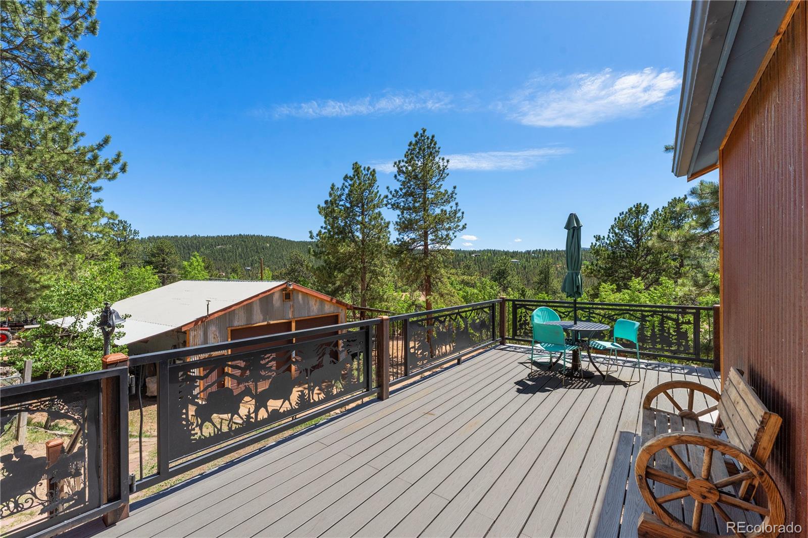256 Houston Street Bailey, CO 80421 - Photo 5 of 34