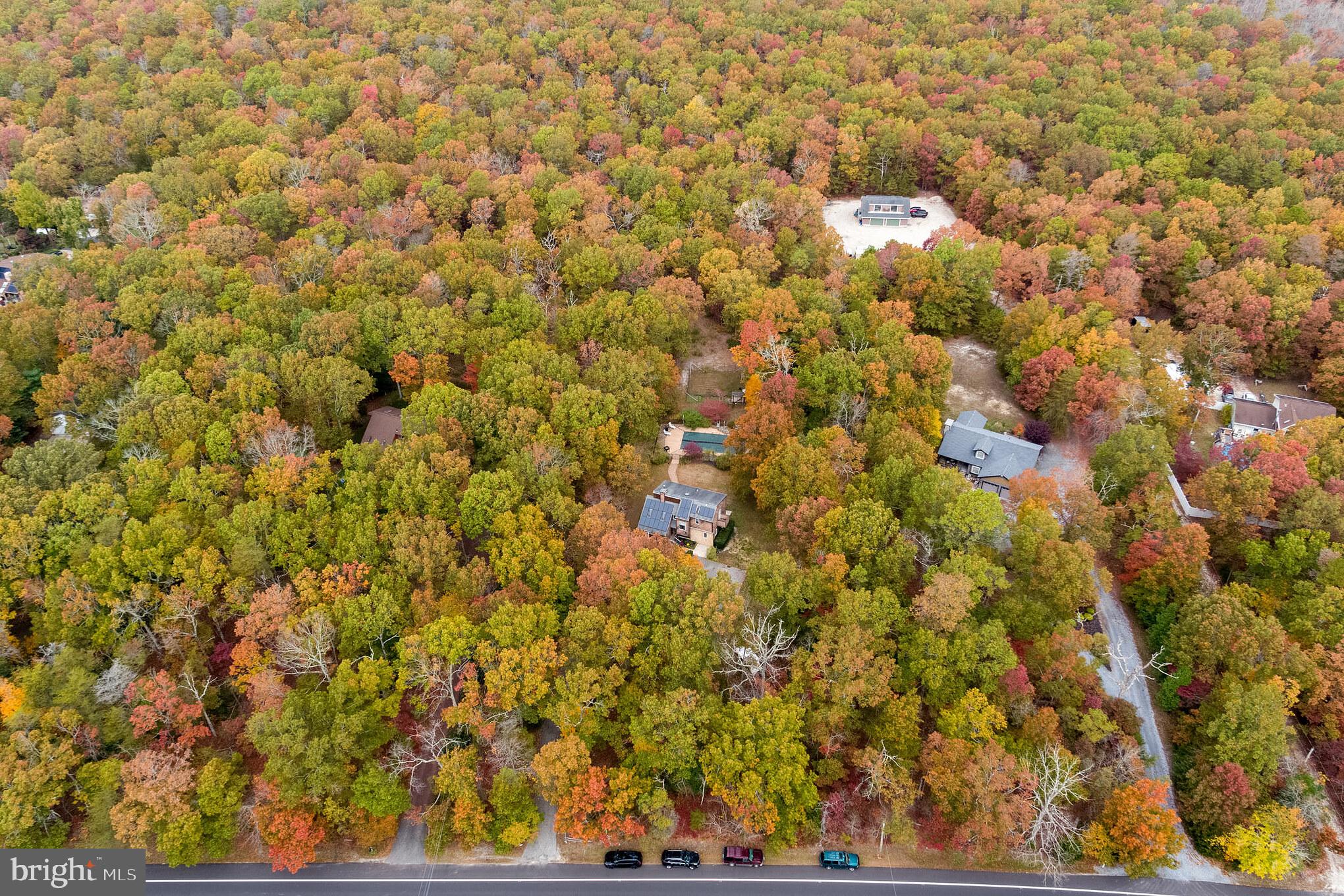 426 Petersburg Road Woodbine, NJ 08270 - Photo 9 of 24