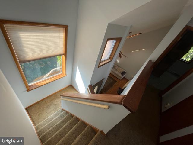 426 Petersburg Road Woodbine, NJ 08270 - Photo 10 of 24