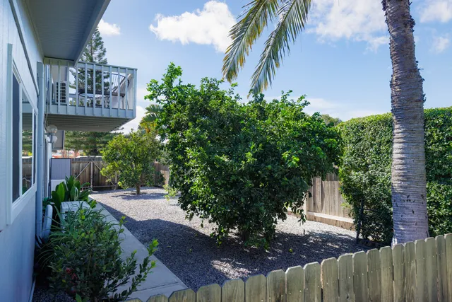 a view of a street with potted plants
