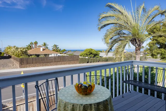 a balcony with furniture and a potted plant