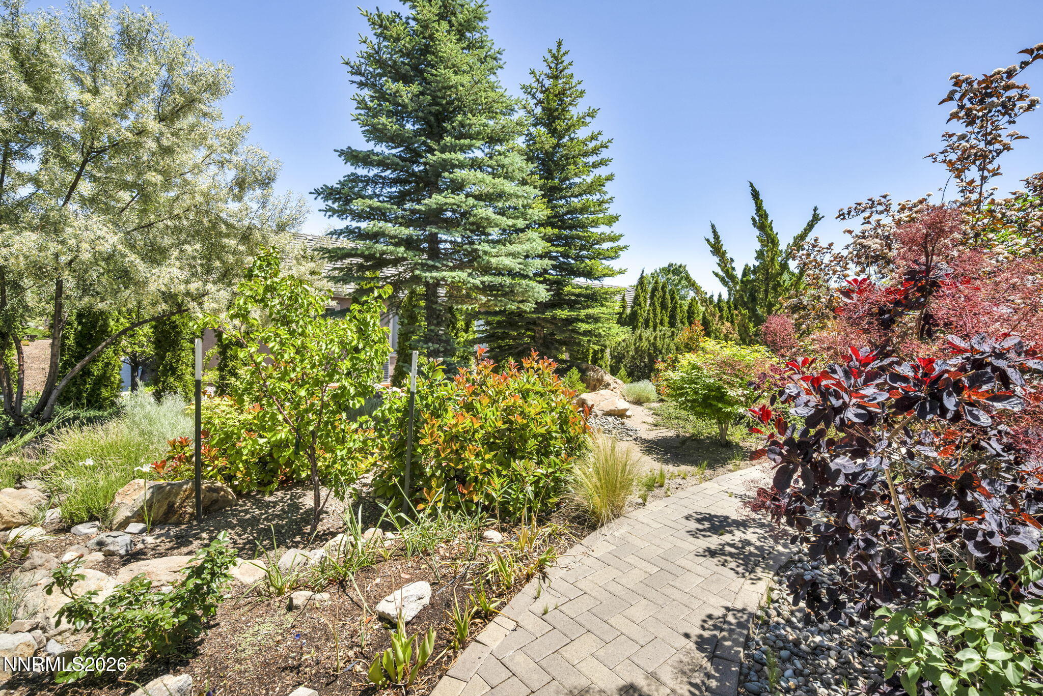 5417 South Elk River Road Reno, NV 89511 - Photo 6 of 42 Backyard