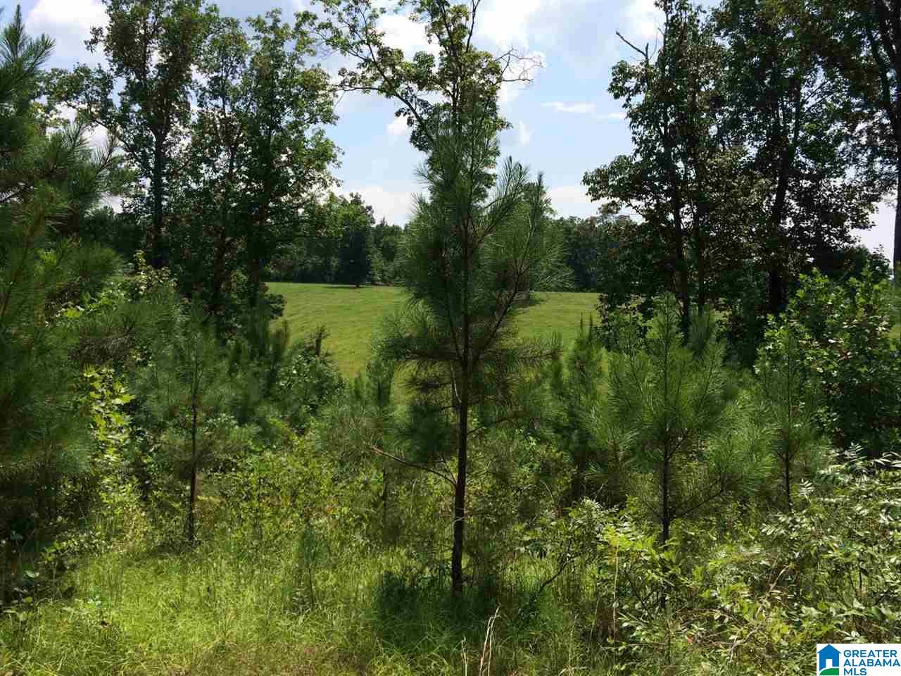 Spunky Hollow Road, Unit 18 7 Oneonta, AL 35121 - Photo 16 of 46