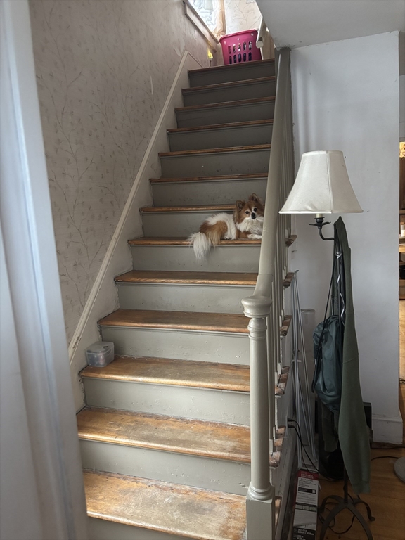 47 Hartford Terrace Springfield, MA 01118 - Photo 13 of 18