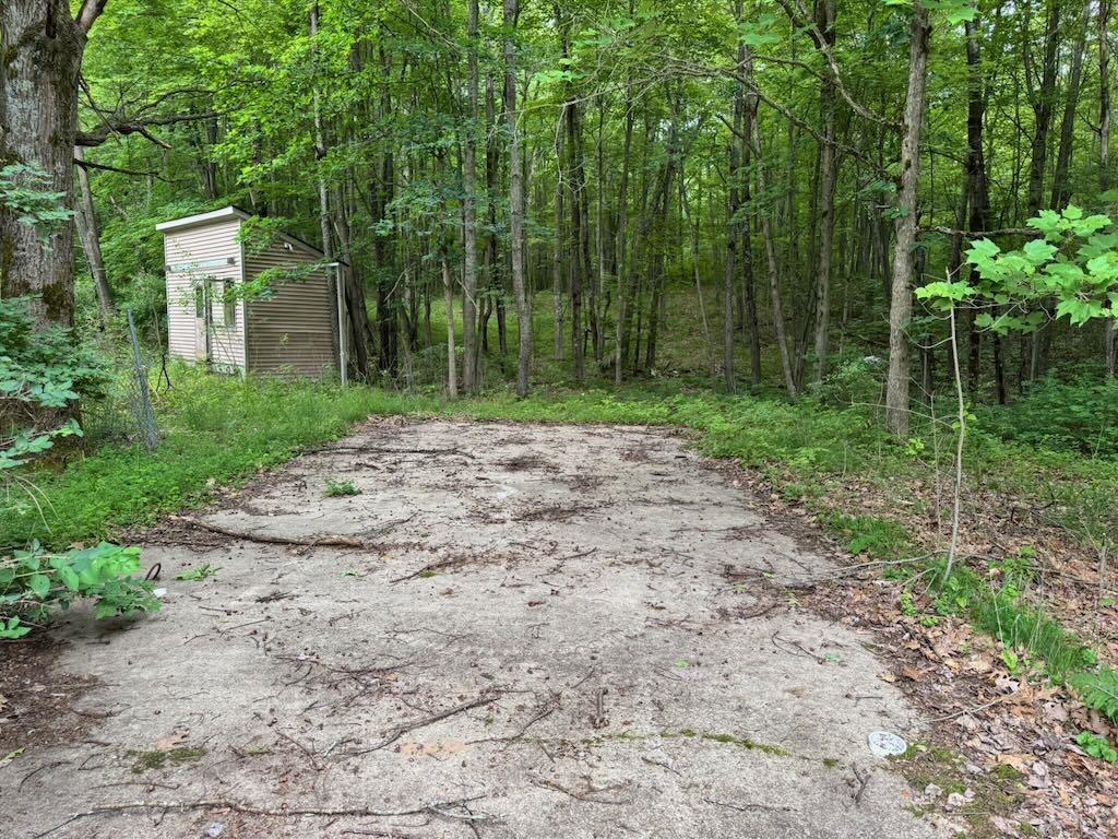 4303 Adams Road Lake, MI 48632 - Photo 5 of 13