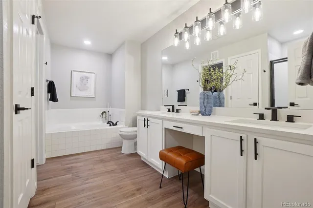 a bathroom with a bathtub a sink a toilet and a mirror