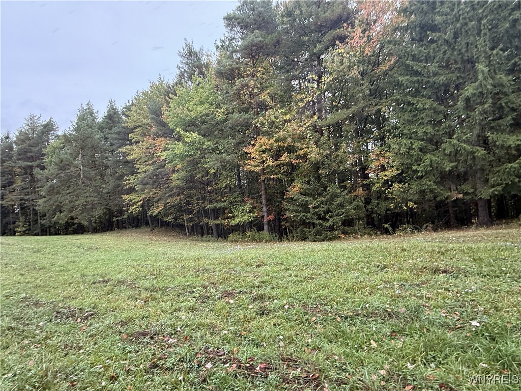 10987 Snyder Road Springville, NY 14141 - Photo 11 of 44