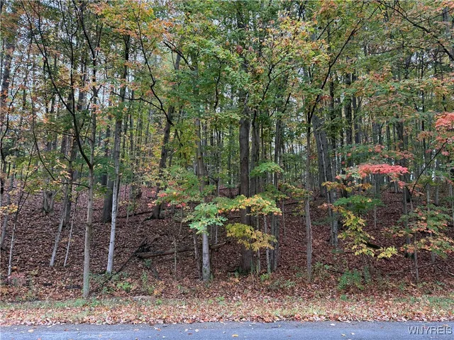 $87,500 | 10987 Snyder Road, Springville, NY 14141