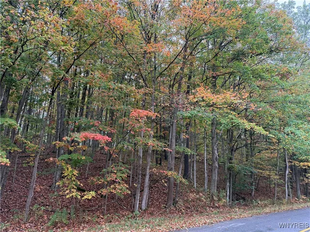 $87,500 | 10987 Snyder Road, Springville, NY 14141