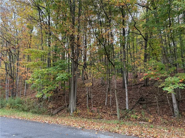 $87,500 | 10987 Snyder Road, Springville, NY 14141