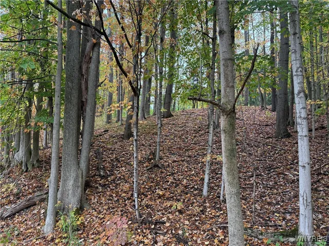 $87,500 | 10987 Snyder Road, Springville, NY 14141