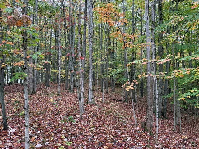 $87,500 | 10987 Snyder Road, Springville, NY 14141