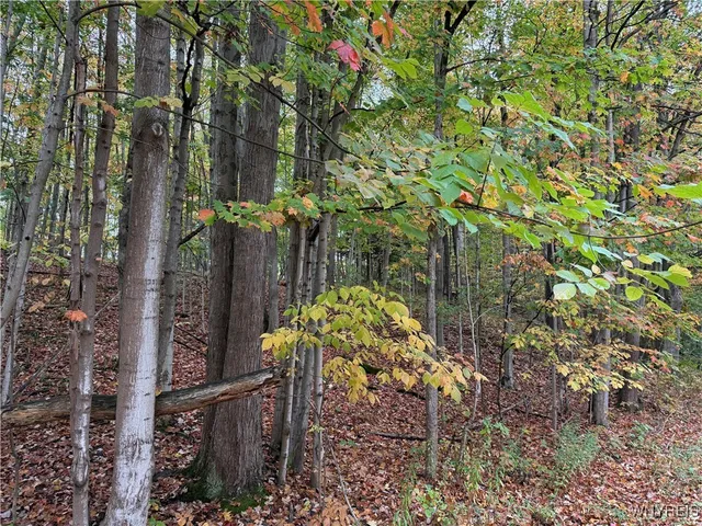 $87,500 | 10987 Snyder Road, Springville, NY 14141