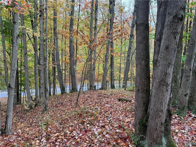 $87,500 | 10987 Snyder Road, Springville, NY 14141