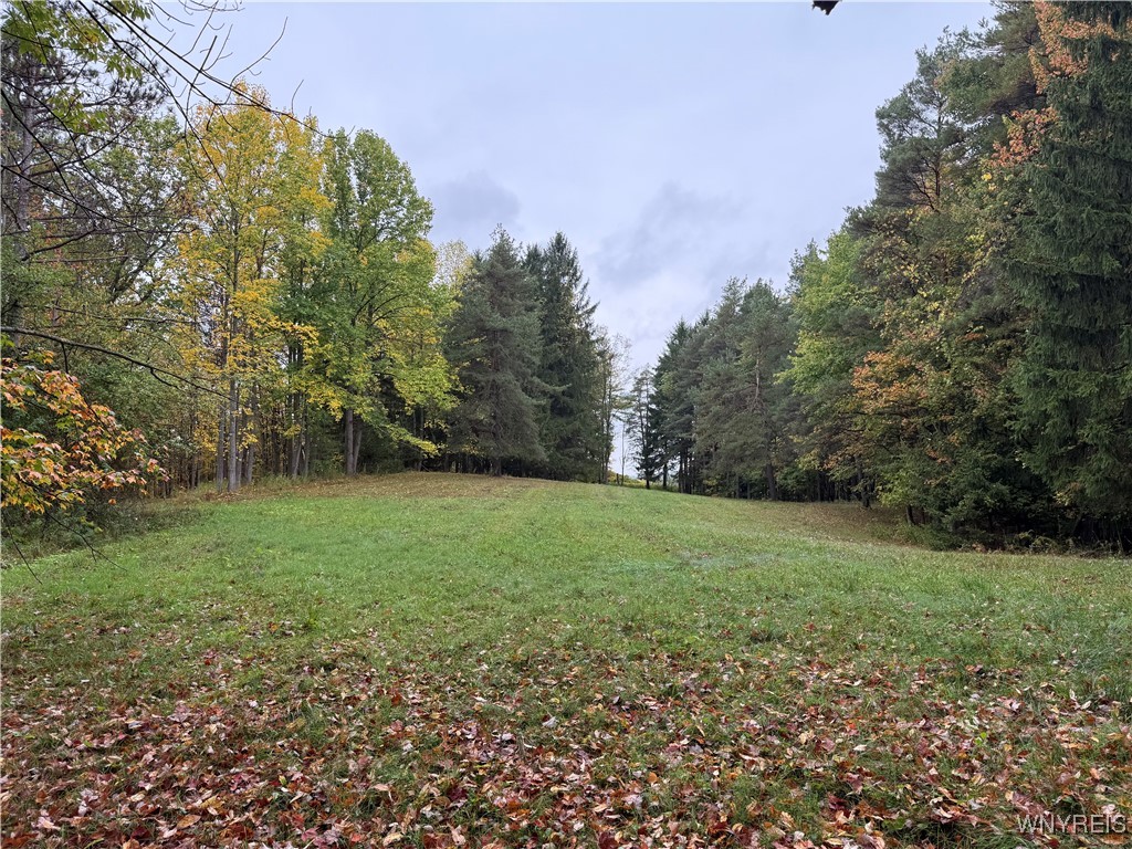 10987 Snyder Road Springville, NY 14141 - Photo 20 of 44