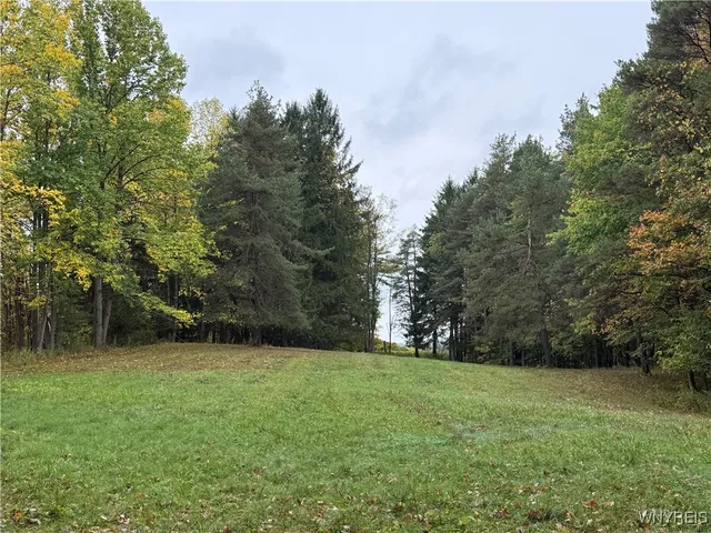 $87,500 | 10987 Snyder Road, Springville, NY 14141
