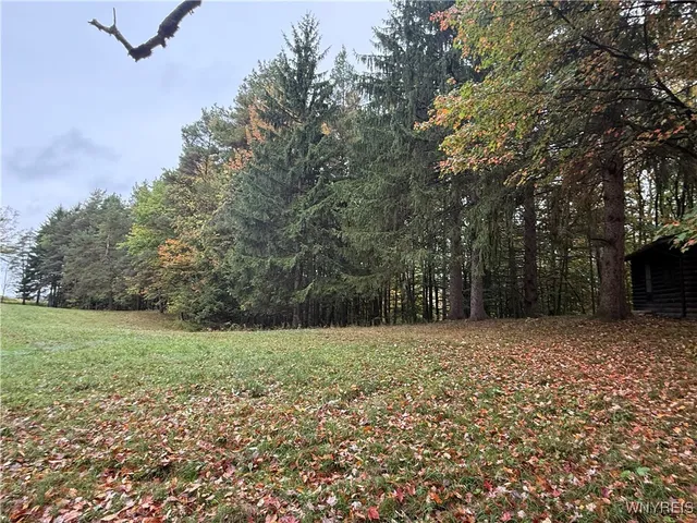 $87,500 | 10987 Snyder Road, Springville, NY 14141