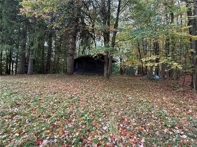 $87,500 | 10987 Snyder Road, Springville, NY 14141