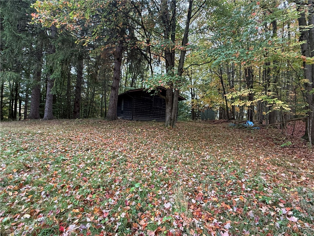 10987 Snyder Road Springville, NY 14141 - Photo 23 of 44