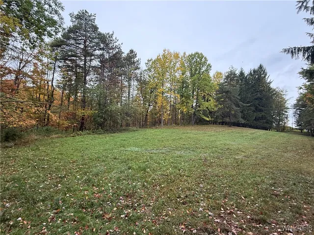 $87,500 | 10987 Snyder Road, Springville, NY 14141