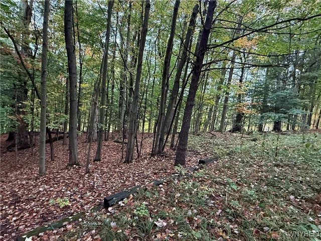 $87,500 | 10987 Snyder Road, Springville, NY 14141