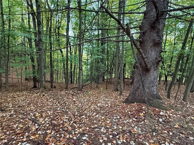 $87,500 | 10987 Snyder Road, Springville, NY 14141