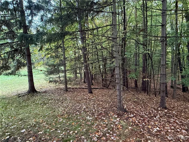 $87,500 | 10987 Snyder Road, Springville, NY 14141